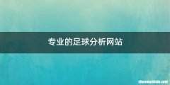 专业的足球分析网站
