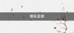 狼队足球