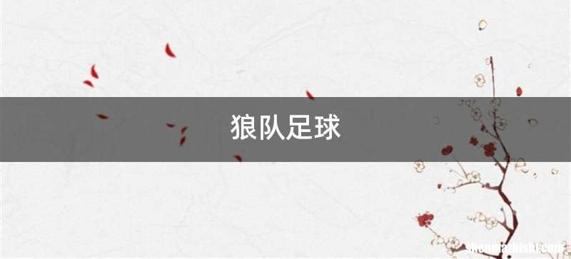 狼队足球