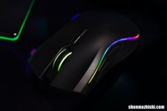 修复Win11中鼠标光标自己移动处理的8种方法