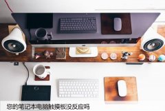您的笔记本电脑触摸板没反应吗？这是修复方法