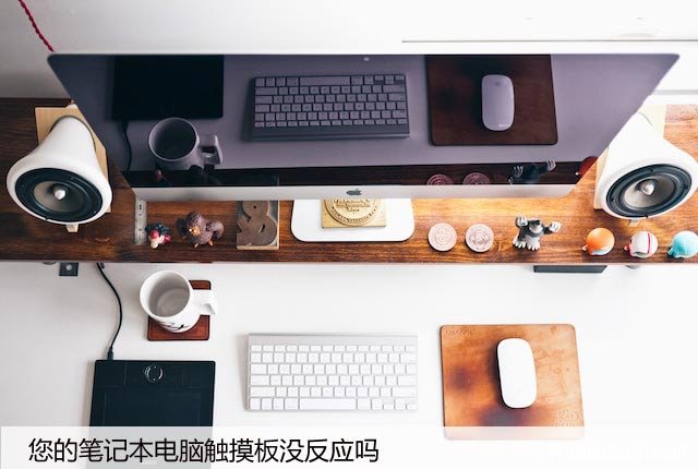 您的笔记本电脑触摸板没反应吗？这是修复方法