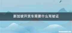 新加坡开货车需要什么驾驶证