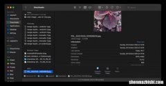 在苹果Mac上查看图像EXIF元数据的4种方法