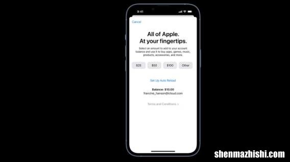 如何向您的Apple帐户余额添加资金