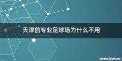 天津的专业足球场为什么不用