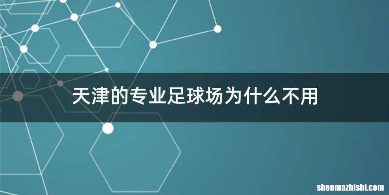 天津的专业足球场为什么不用