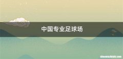 中国专业足球场