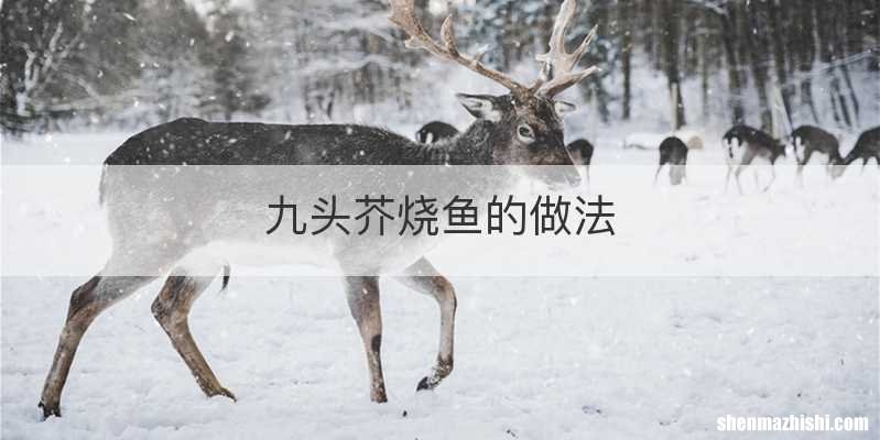 九头芥烧鱼的做法