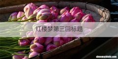 红楼梦第三回标题