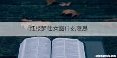 红楼梦仕女图什么意思