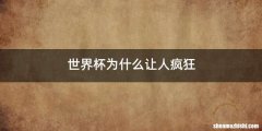 世界杯为什么让人疯狂