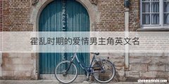 霍乱时期的爱情男主角英文名