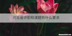 河北省评职称课题有什么要求