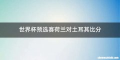 世界杯预选赛荷兰对土耳其比分