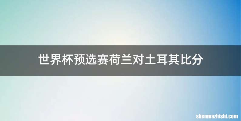 世界杯预选赛荷兰对土耳其比分