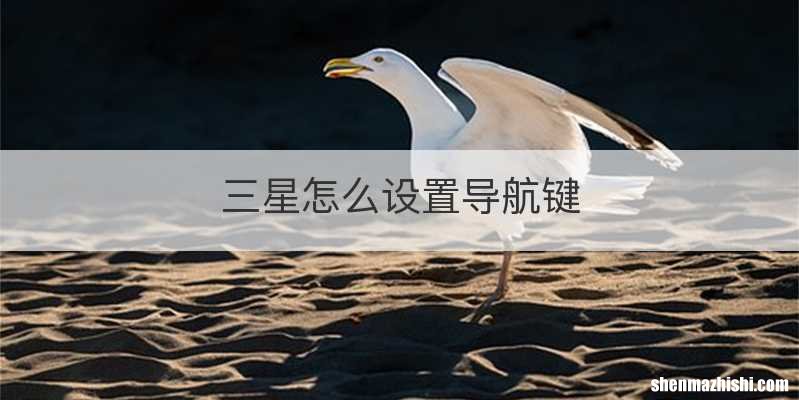 三星怎么设置导航键