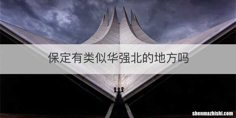 保定有类似华强北的地方吗