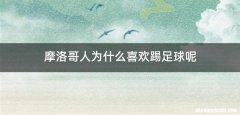摩洛哥人为什么喜欢踢足球呢