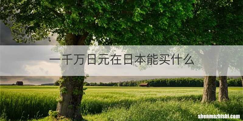 一千万日元在日本能买什么