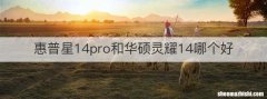 惠普星14pro和华硕灵耀14哪个好