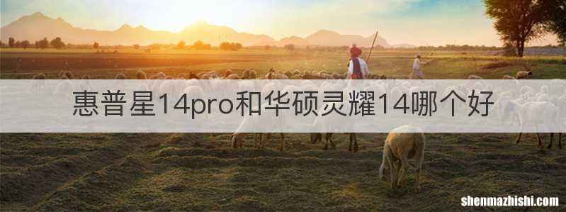 惠普星14pro和华硕灵耀14哪个好