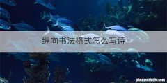 纵向书法格式怎么写诗