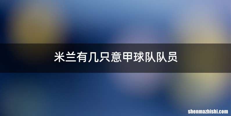 米兰有几只意甲球队队员