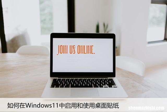 如何在Windows11中启用和使用桌面贴纸