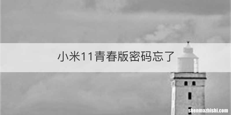 小米11青春版密码忘了