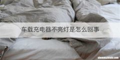 车载充电器不亮灯是怎么回事
