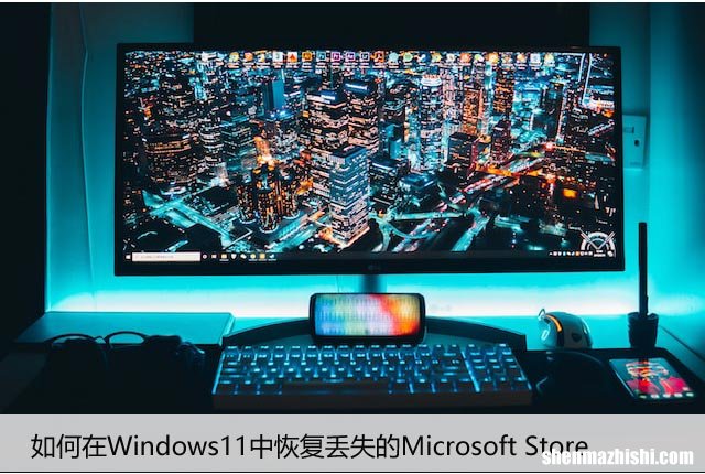 如何在Windows11中恢复丢失的Microsoft Store
