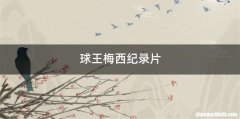 球王梅西纪录片