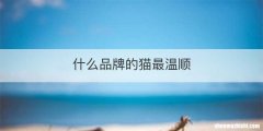 什么品牌的猫最温顺