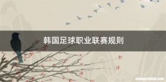 韩国足球职业联赛规则