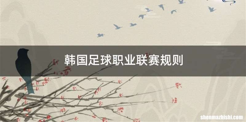 韩国足球职业联赛规则