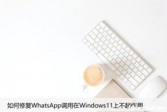 如何修复WhatsApp调用在Windows11上不起作用