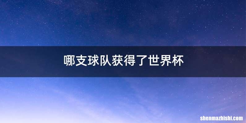 哪支球队获得了世界杯