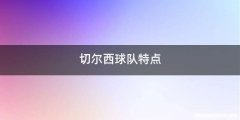 切尔西球队特点