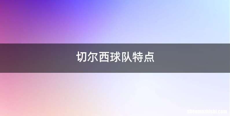 切尔西球队特点