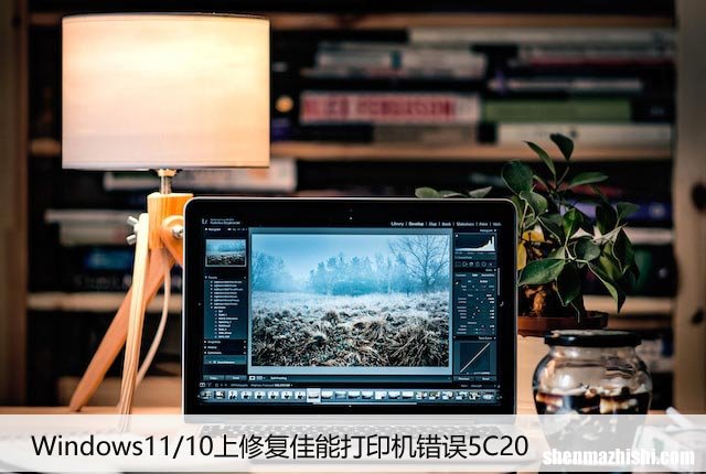 如何在Windows11/10上修复佳能打印机错误5C20