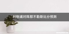 利物浦对阵那不勒斯比分预测