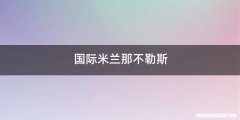 国际米兰那不勒斯