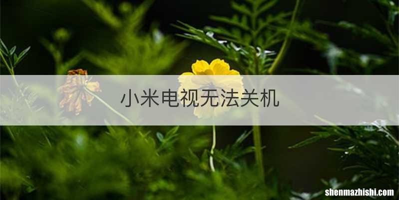 小米电视无法关机