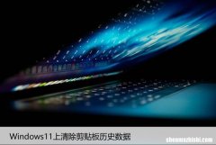 如何在Windows11上清除剪贴板历史数据