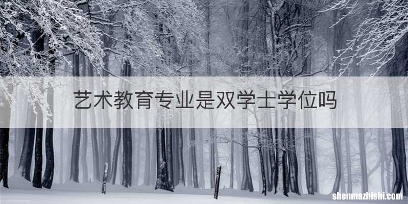 艺术教育专业是双学士学位吗