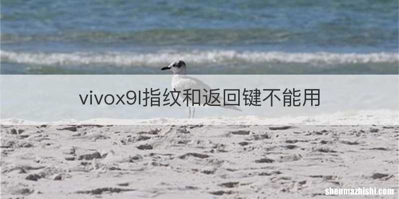 vivox9I指纹和返回键不能用