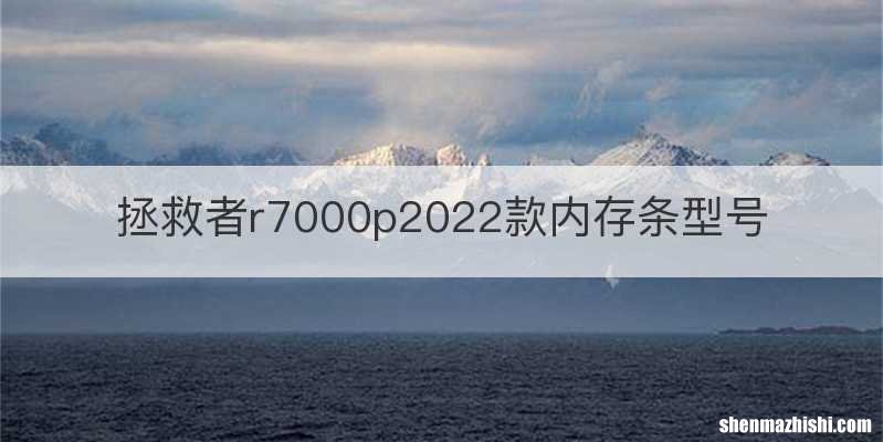 拯救者r7000p2022款内存条型号