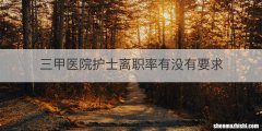 三甲医院护士离职率有没有要求