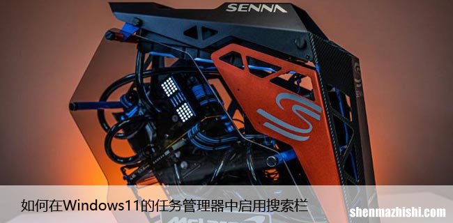 如何在Windows11的任务管理器中启用搜索栏